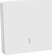 COOLSEER PUSH RF SWITCH - ΜΟΝΟΣ ΔΙΑΚΟΠΤΗΣ