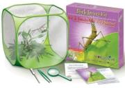 WORLD ALIVE STICK INSECT KIT