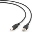 cablexpert ccp usb2 ambm 10 usb20 cable a plug to b plug 3m photo cablexpert ccp usb2 ambm 10 usb20 cable a plug to b plug 3m photo