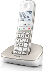 PHILIPS PHILIPS XL4901S/GRS ΑΣΥΡΜΑΤΟ ΤΗΛΕΦΩΝΟ ΑΣΗΜΙ