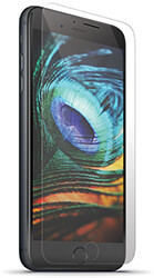 FOREVER TEMPERED GLASS 2,5D FOR SAMSUNG GALAXY S22