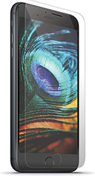 FOREVER FOREVER TEMPERED GLASS 2,5D FOR SAMSUNG GALAXY S24 PLUS