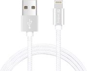 SANDBERG SANDBERG EXCELLENCE LIGHTNING 1M SILVER (480-01)