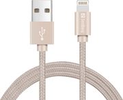 SANDBERG SANDBERG EXCELLENCE LIGHTNING 1M GOLD (480-02)