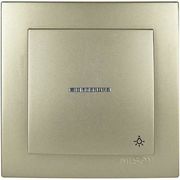 GEYER ΣΑΤΙΝΕ ΜΠΟΥΤΟΝ ΜΕ ΕΝΔΕΙΚΤΙΚΗ ΛΥΧΝΙΑ NILSON