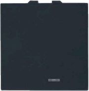 GEYER ΔΙΑΚΟΠΤΗΣ ΑΠΛΟΣ ΜΕ ΕΝΔΕΙΚΤΙΚΗ ΛΥΧΝΙΑ 2 ΘΕΣΕΩΝ ΜΑΥΡΟΣ 10ΑΧ 250V INTERIO