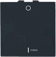 GEYER ΔΙΑΚΟΠΤΗΣ Κ/Ρ ΜΕ ΕΝΔΕΙΚΤΙΚΗ ΛΥΧΝΙΑ2 ΘΕΣΕΩΝ ΜΑΥΡΟΣ 10ΑΧ 250V INTERIO