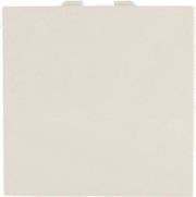 GEYER ΜΕΣΑΙΟΣ Α/Ρ 2 ΘΕΣΕΩΝ ΙΒΟΥΑΡ 10ΑΧ 250V INTERIO