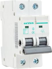 GEYER ΔΙΑΚΟΠΤΗΣ ΡΑΓΑΣ 2P 40A