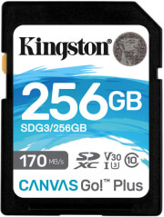 KINGSTON SDG3/256GB CANVAS GO PLUS 256GB