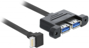 DELOCK 85327 CABLE USB 3.1 GEN 2 KEY B 20 PIN MALE > 2 X USB 3.1 GEN 2 TYPE-A F PANEL-MOUNT 45 CM