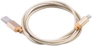 AKASA AK-CBUB31-10GL 1M USB TO LIGHTING SYNC & CHARGE CABLE FOR APPLE IPHONE 5/6 GOLD